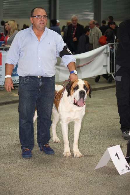 Besançon expo internationale 19/09/15